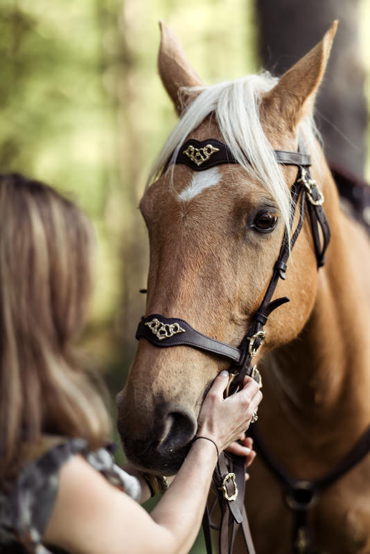 photographe équestre cavalier chevaux alsace Strasbourg