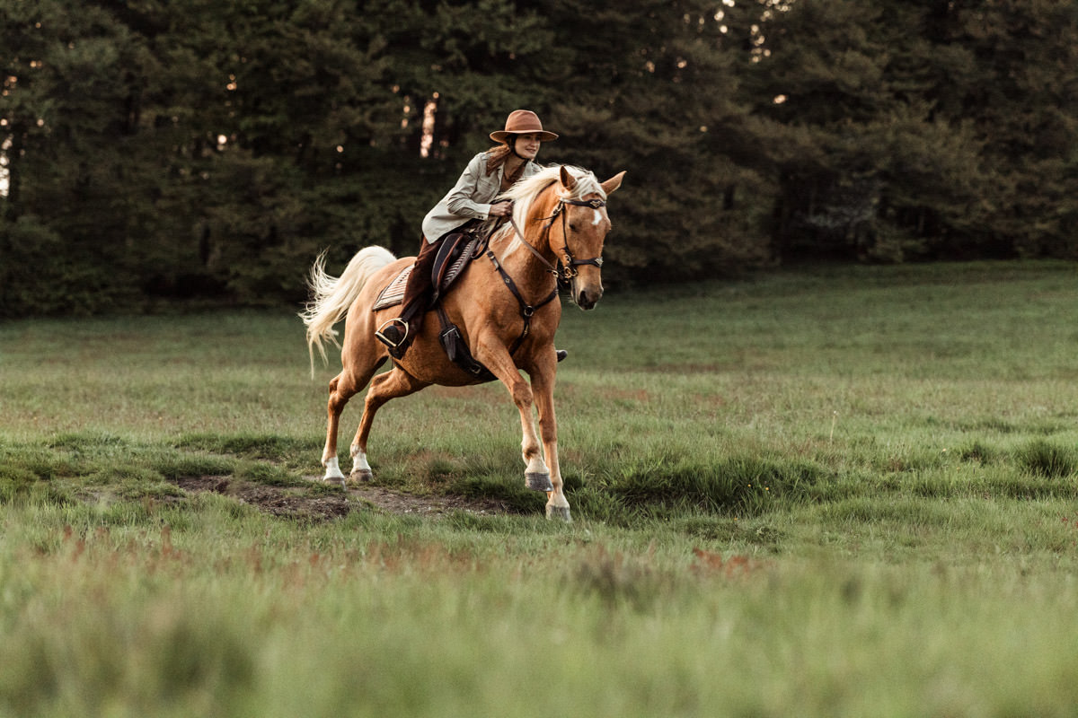 photographe équestre alsace chevaux