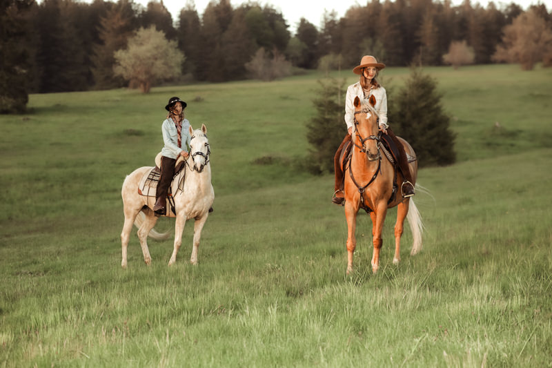 photographe équestre alsace chevaux