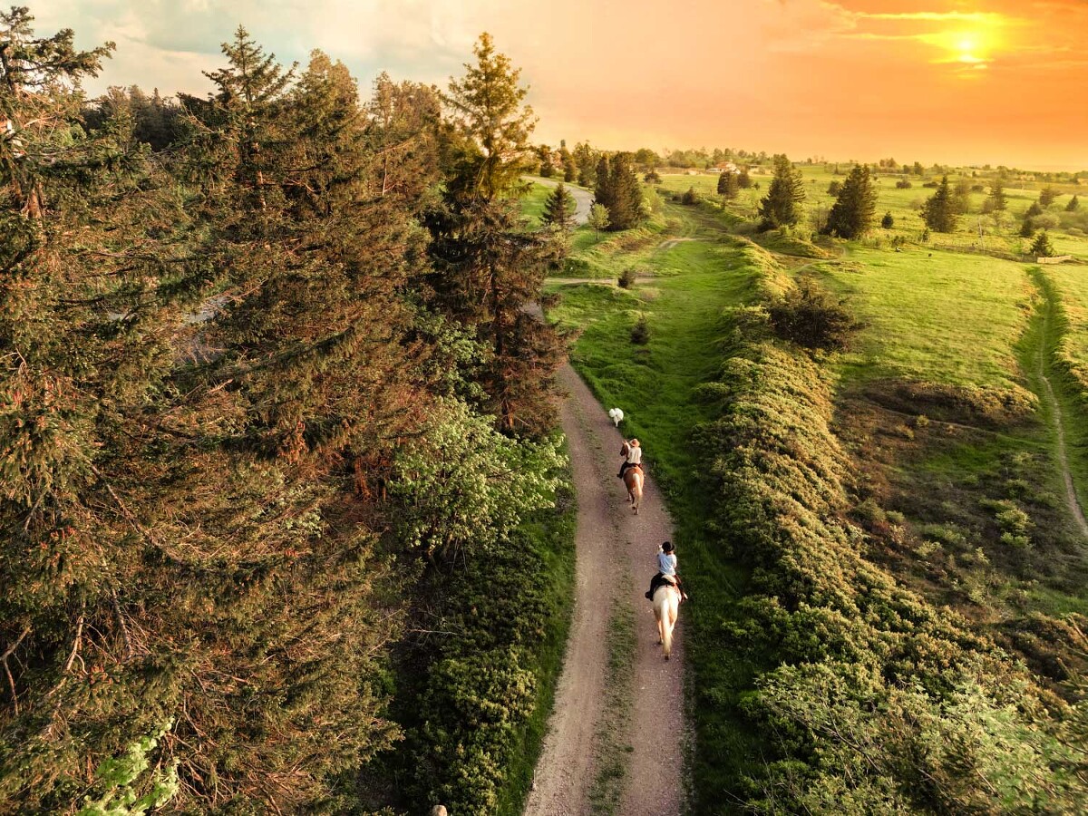 photographe équestre cavalier chevaux alsace Strasbourg
