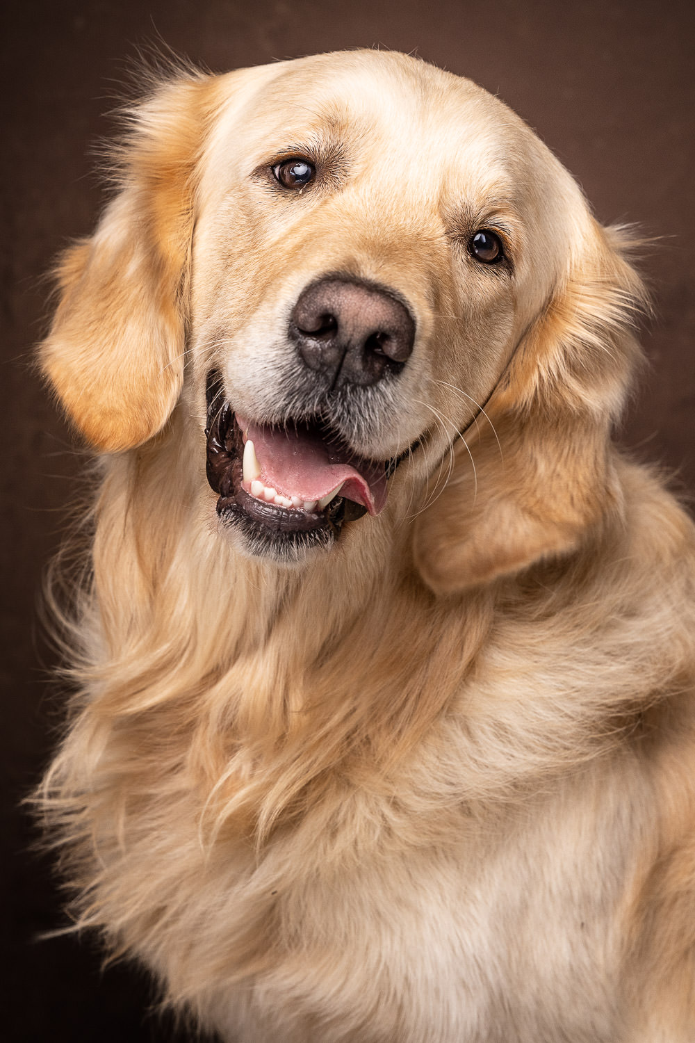 Portrait de famille en studio avec leur chien, moment complice capturé.
