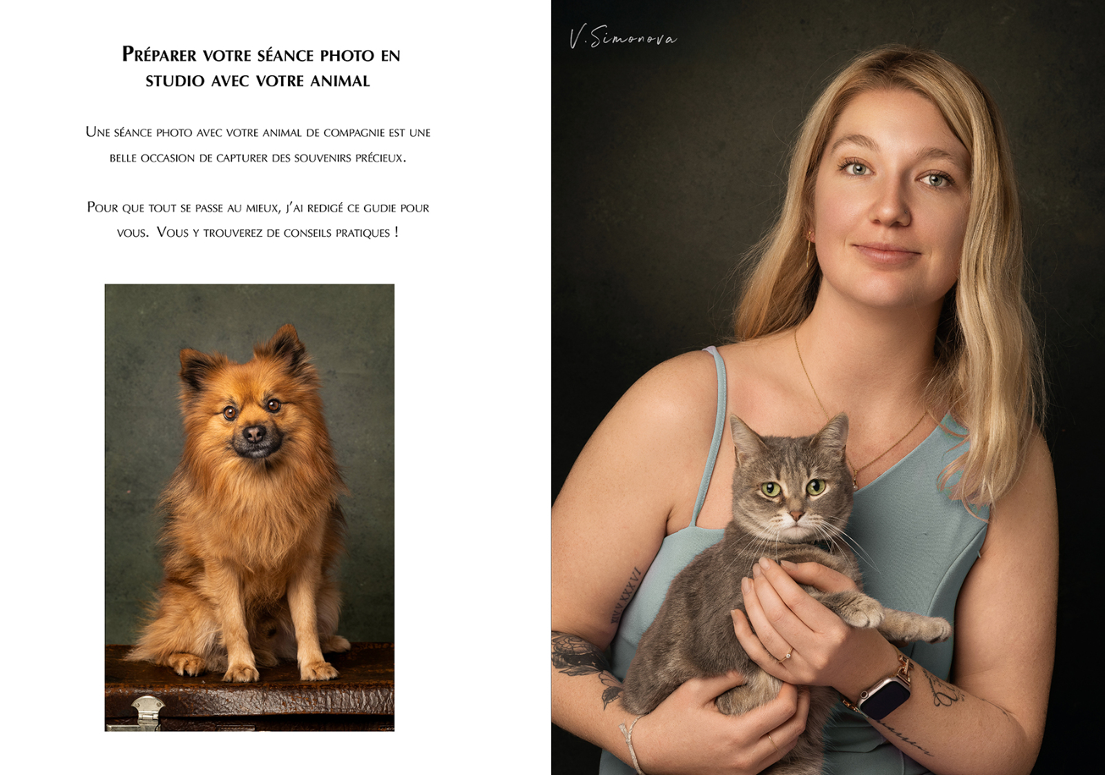 prix de seance photo studio chien chat