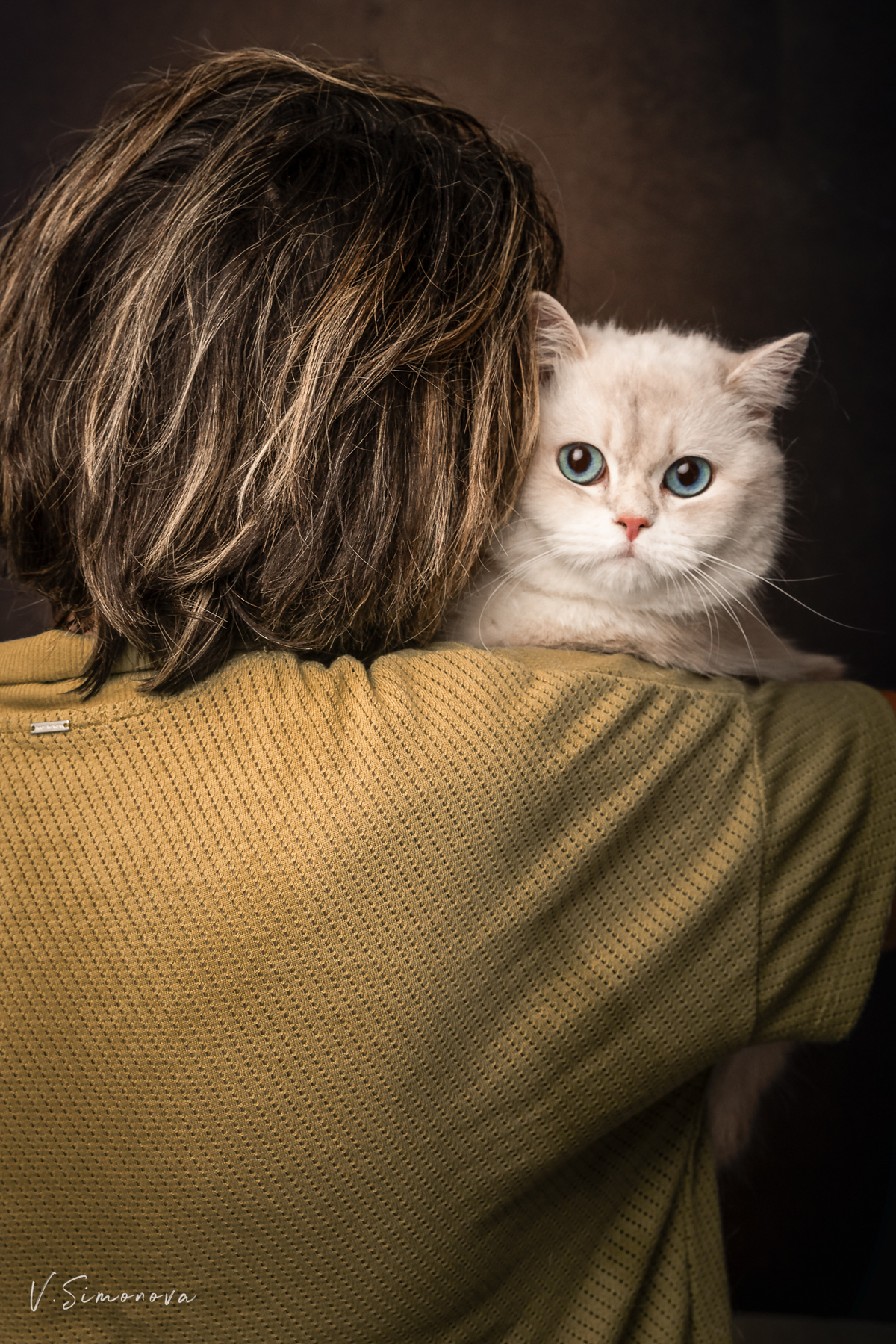 séance photo avec le chat